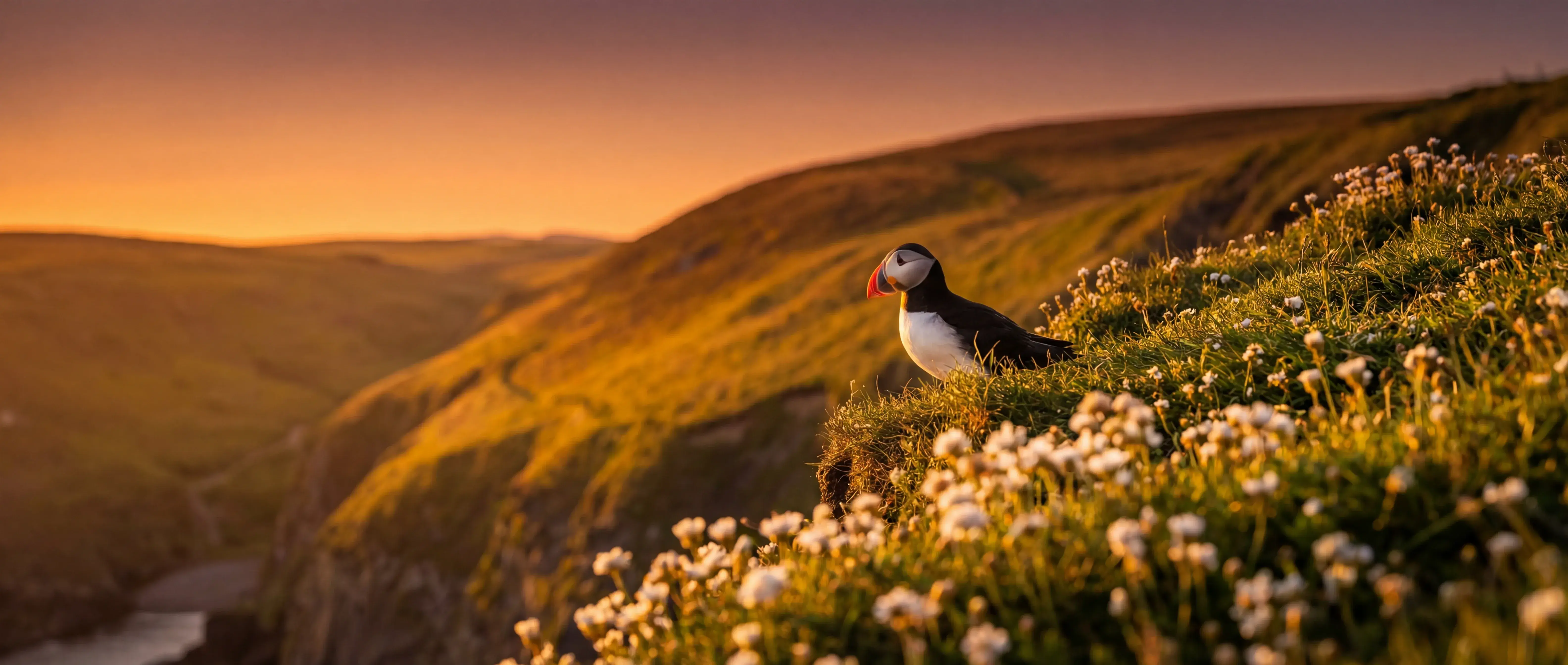 Киностудия пример 1